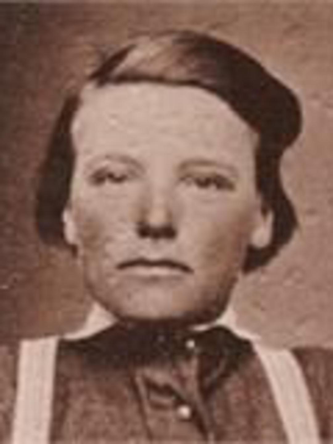 James Ward Brown (1861 - 1943) Profile